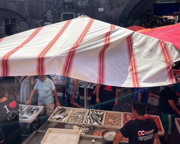 catania fish market