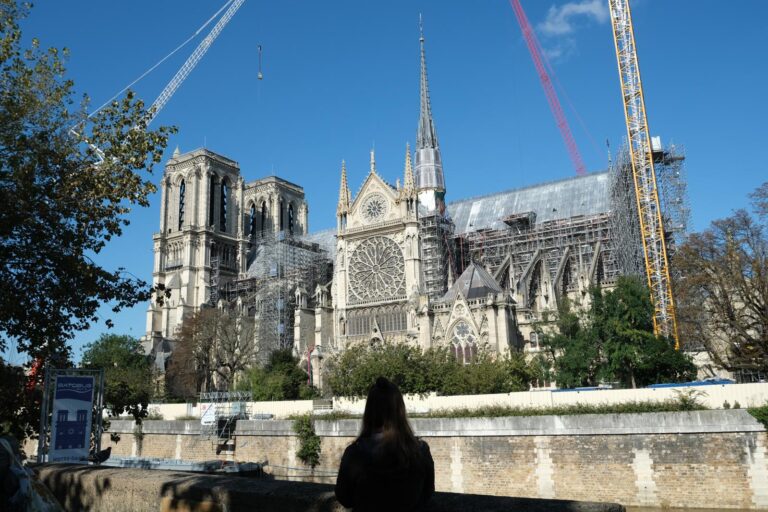 notre dame cathedral seen from over the seine river in paris