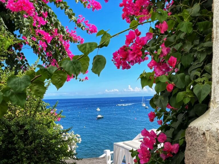 stunning flowers frame the sea off panarea in sicily