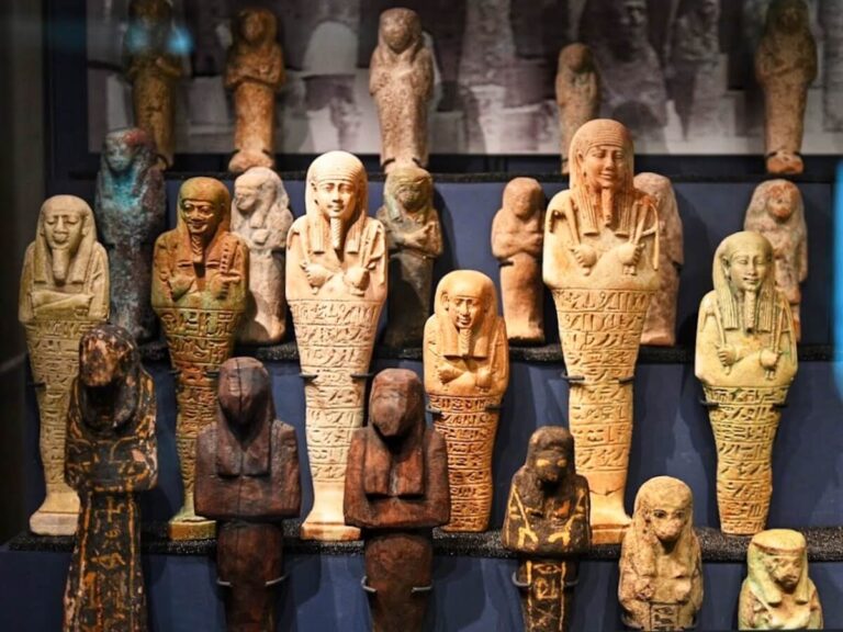 petrie egyptology museum in bloomsbury