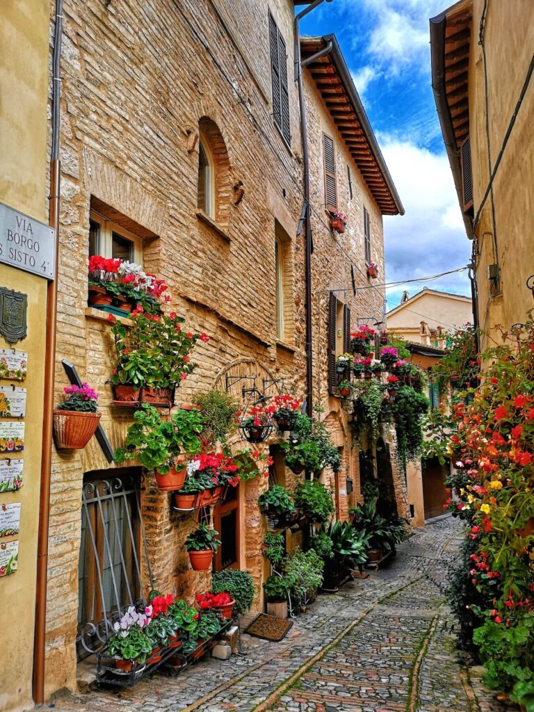 flowers in spello in umbria